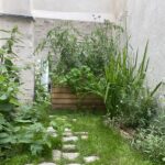 Photo parterre fleuri