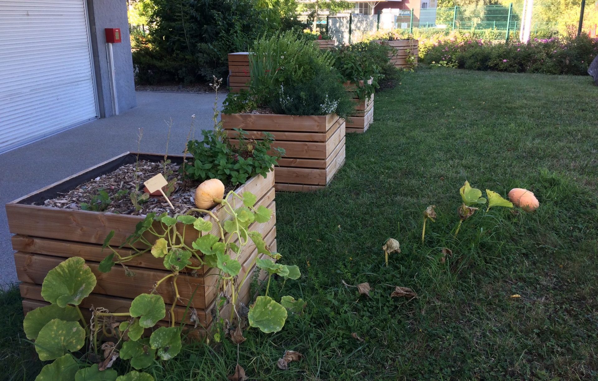 IMG_2502-e1582104347939