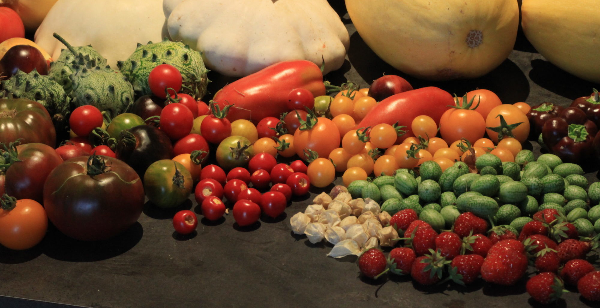 IMG_4859-e1473255044825