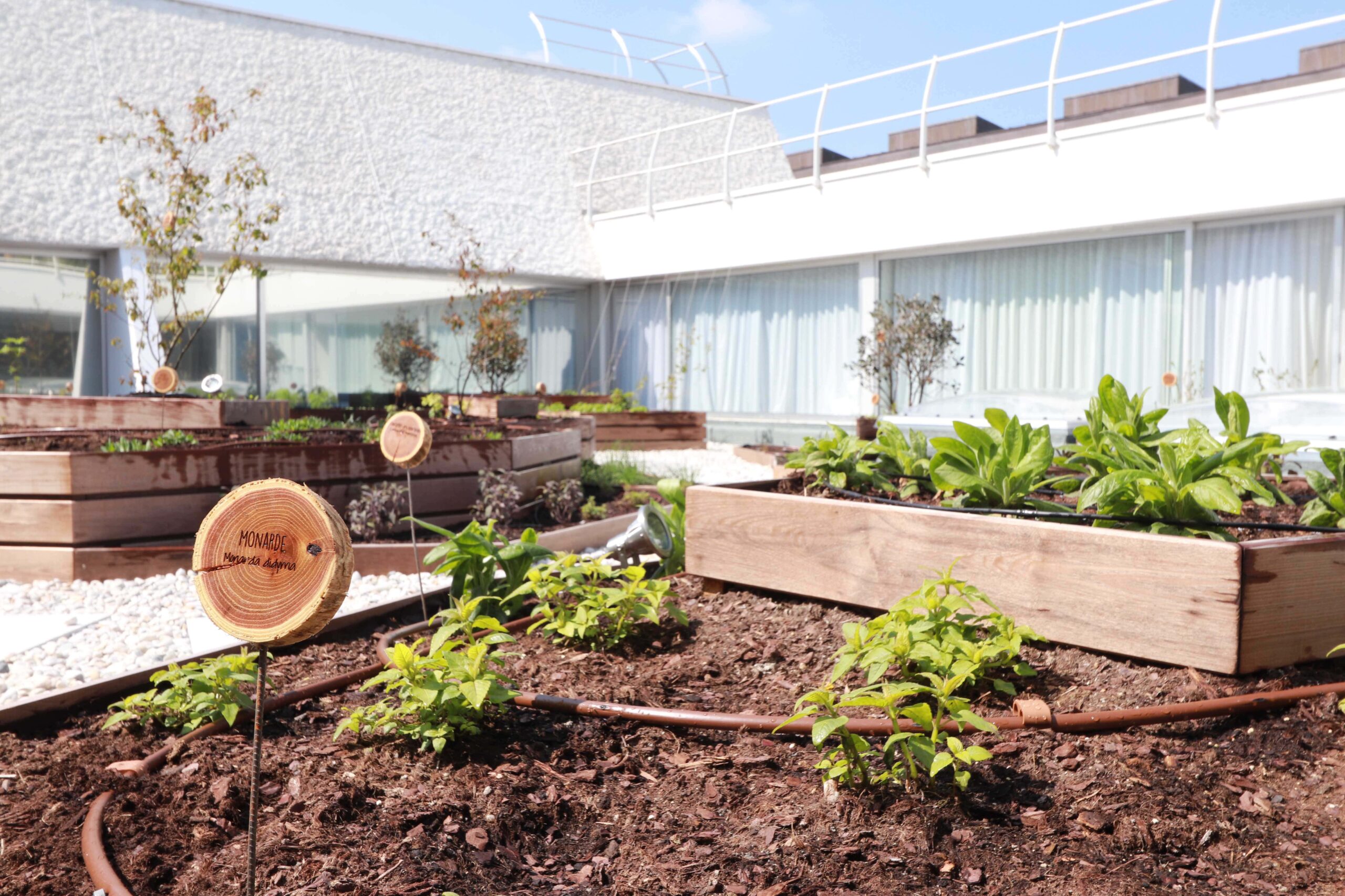 Potag'home Sofitel Quiberon 2