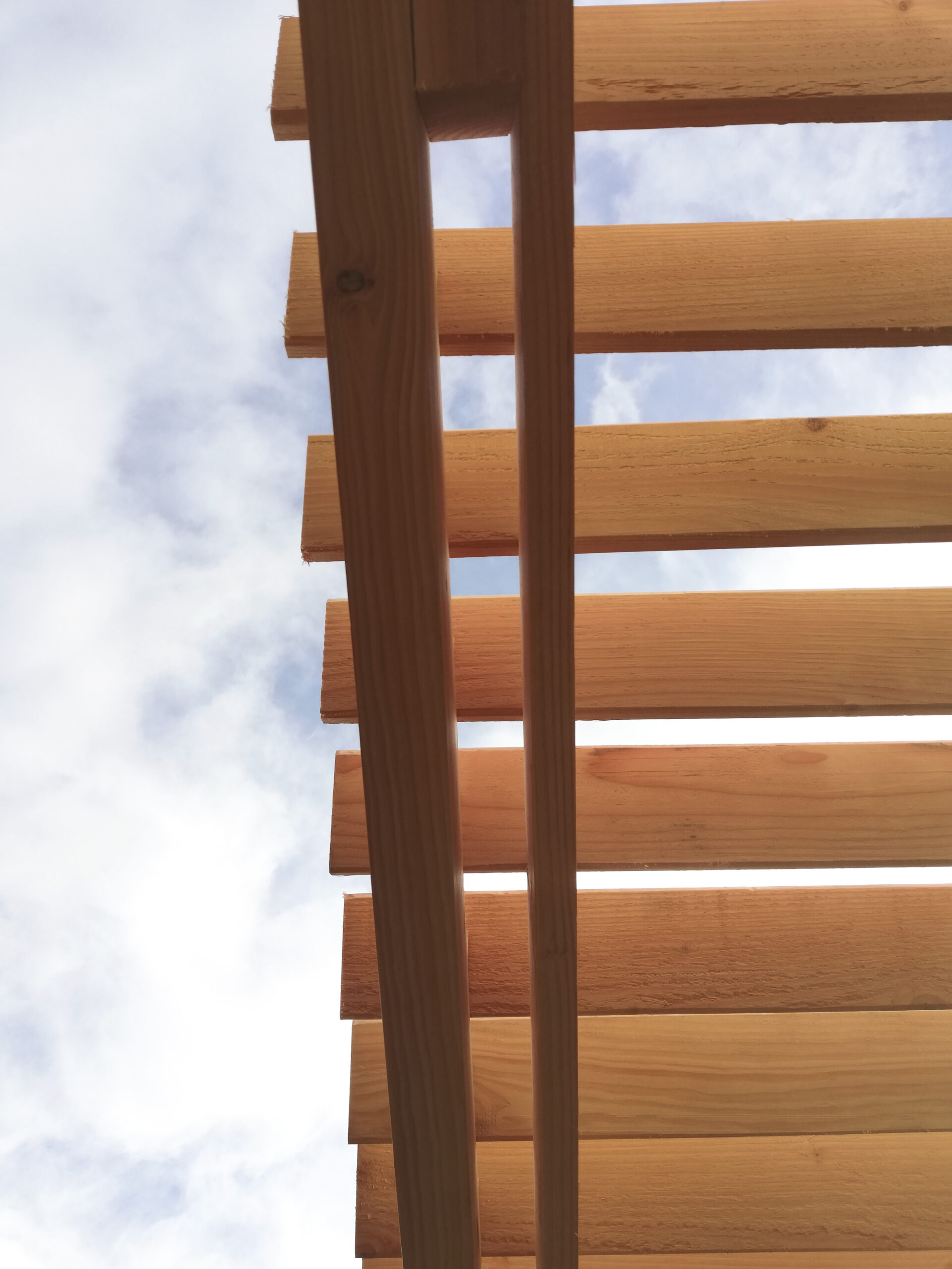 IMG_20221215_1250021