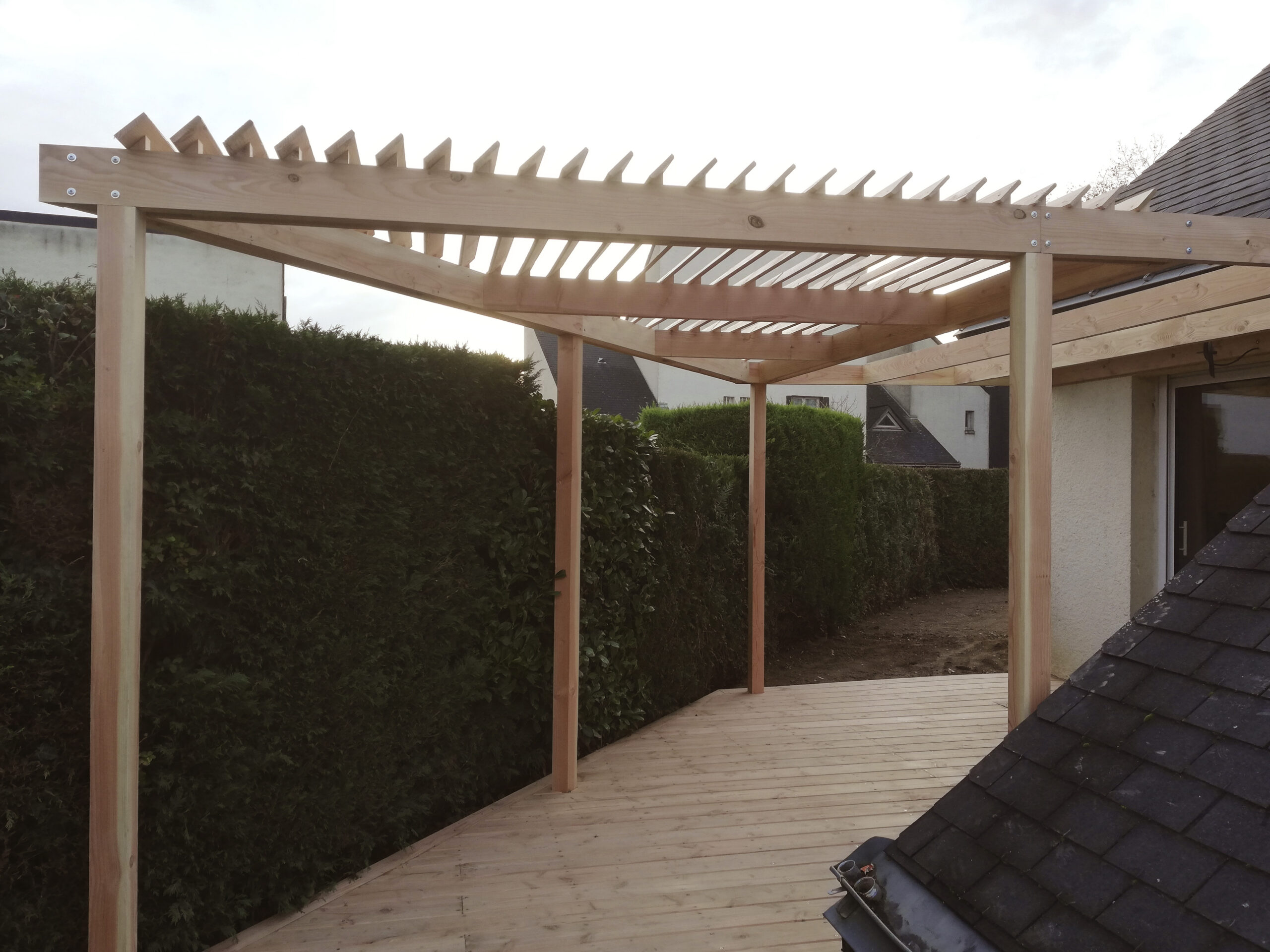 IMG_20221215_1650020