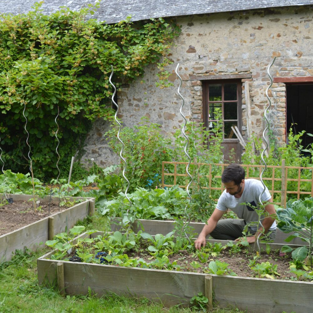 Service à la personne - Entretien