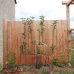 Un jardin aux multiples espaces