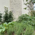 Un jardin aux multiples espaces