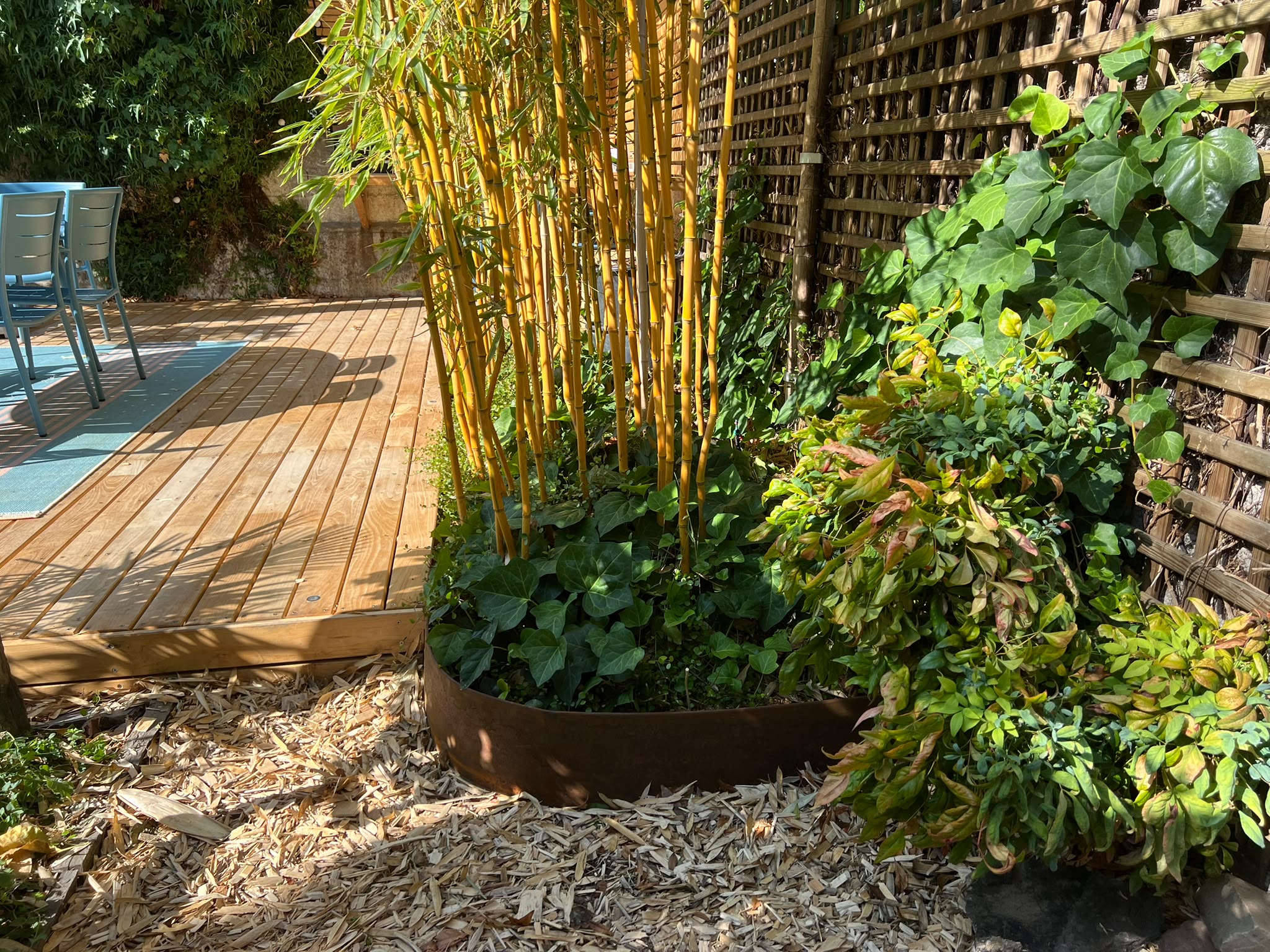 bordures-corten-bambous-angers.jpg